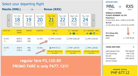 Flight Ticket from Manila to Roxas City .